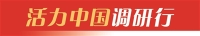 活力中国调研行 | “隐形冠军”出海记