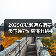 2025年弘毅远方消费升级下跌7% 资深老将牛市反亏（图3）