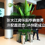 张大江离任新华鑫益灵活配置混合 A份额成立4年亏2成（图3）