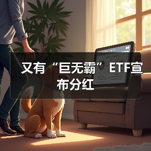 又有“巨无霸”ETF宣布分红（图3）