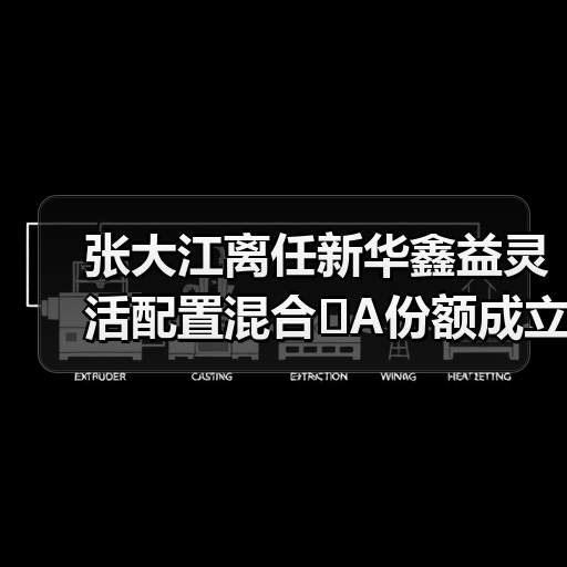 张大江离任新华鑫益灵活配置混合 A份额成立4年亏2成（图4）