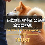 存款到期潮将至 公募基金各显神通（图4）