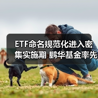 ETF命名规范化进入密集实施期 鹏华基金率先完成旗下27只ETF更名（图4）