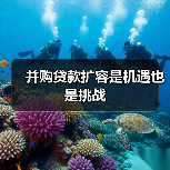 并购贷款扩容是机遇也是挑战(图4) 并购贷款扩容是机遇也是挑战(图4)