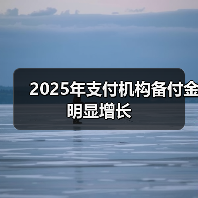 2025年支付机构备付金明显增长(图2) 2025年支付机构备付金明显增长(图2)