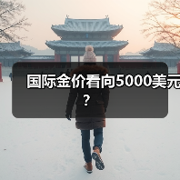 国际金价看向5000美元？（图2）
