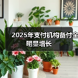 2025年支付机构备付金明显增长(图4) 2025年支付机构备付金明显增长(图4)