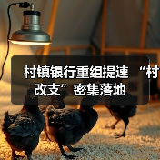 村镇银行重组提速 “村改支”密集落地（图2）
