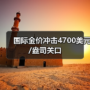 国际金价冲击4700美元/盎司关口（图4）