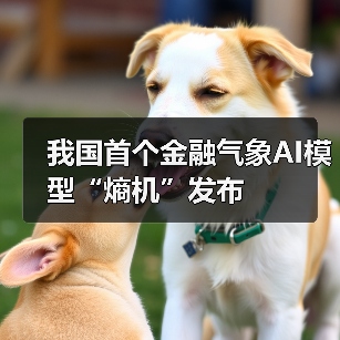我国首个金融气象AI模型“熵机”发布 (图2) 我国首个金融气象AI模型“熵机”发布 (图2)