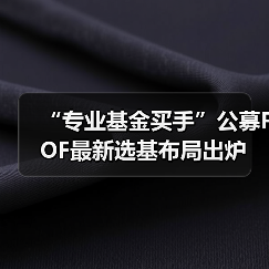 “专业基金买手”公募FOF最新选基布局出炉(图4) “专业基金买手”公募FOF最新选基布局出炉(图4)
