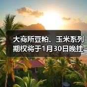 大商所豆粕、玉米系列期权将于1月30日晚挂牌(图2) 大商所豆粕、玉米系列期权将于1月30日晚挂牌(图2)