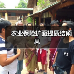 农业保险扩面提质结硕果(图2) 农业保险扩面提质结硕果(图2)