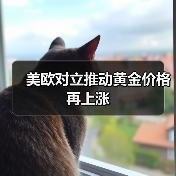 美欧对立推动黄金价格再上涨（图3）