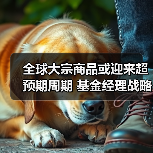 全球大宗商品或迎来超预期周期 基金经理战略性增配有色化工品种(图3) 全球大宗商品或迎来超预期周期 基金经理战略性增配有色化工品种(图3)
