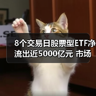 8个交易日股票型ETF净流出近5000亿元 市场成交额或是背后的核心考量因素（图1）