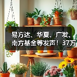 易方达、华夏、广发、南方基金等发声！37万亿行业再迎新规落地（图4）