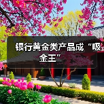 银行黄金类产品成“吸金王”(图3) 银行黄金类产品成“吸金王”(图3)