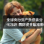 全球央行资产负债表分化加剧 国际资金瞄准新兴市场（图3）