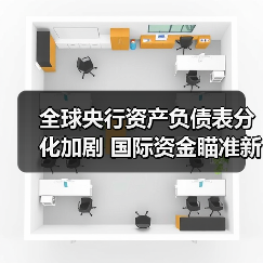 全球央行资产负债表分化加剧 国际资金瞄准新兴市场（图4）