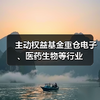 主动权益基金重仓电子、医药生物等行业(图4) 主动权益基金重仓电子、医药生物等行业(图4)
