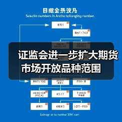 证监会进一步扩大期货市场开放品种范围(图4) 证监会进一步扩大期货市场开放品种范围(图4)