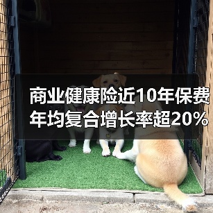 商业健康险近10年保费年均复合增长率超20%(图2) 商业健康险近10年保费年均复合增长率超20%(图2)