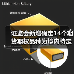 证监会新增确定14个期货期权品种为境内特定品种(图3) 证监会新增确定14个期货期权品种为境内特定品种(图3)