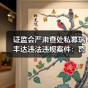 证监会严肃查处私募瑞丰达违法违规案件:罚没超4100万元,实控人终身市场禁入(图4) 证监会严肃查处私募瑞丰达违法违规案件:罚没超4100万元,实控人终身市场禁入(图4)