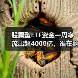 股票型ETF资金一周净流出超4000亿,谁在抛售?(图4) 股票型ETF资金一周净流出超4000亿,谁在抛售?(图4)