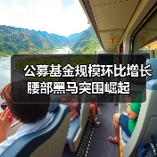 公募基金规模环比增长 腰部黑马突围崛起(图4) 公募基金规模环比增长 腰部黑马突围崛起(图4)