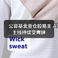 公募基金重仓股易主 AI主线持续受青睐(图4) 公募基金重仓股易主 AI主线持续受青睐(图4)