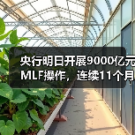 央行明日开展9000亿元MLF操作，连续11个月加量续做（图1）