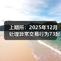 上期所：2025年12月处理异常交易行为73起（图4）