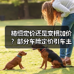 精细定价还是变相加价?部分车险定价引车主困惑(图3) 精细定价还是变相加价?部分车险定价引车主困惑(图3)
