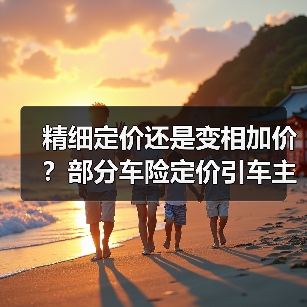 精细定价还是变相加价?部分车险定价引车主困惑(图4) 精细定价还是变相加价?部分车险定价引车主困惑(图4)