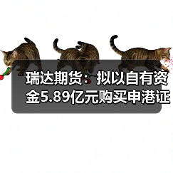 瑞达期货：拟以自有资金5.89亿元购买申港证券合计11.9351%股权（图4）
