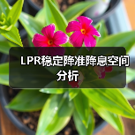 LPR稳定降准降息空间分析（图3）