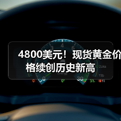 4800美元！现货黄金价格续创历史新高（图4）