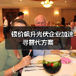 银价飙升光伏企业加速寻替代方案（图4）