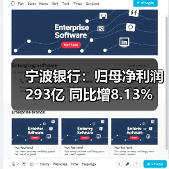 宁波银行：归母净利润293亿 同比增8.13%（图1）