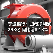 宁波银行：归母净利润293亿 同比增8.13%（图2）