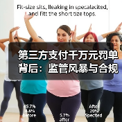 第三方支付千万元罚单背后:监管风暴与合规挑战并存(图4) 第三方支付千万元罚单背后:监管风暴与合规挑战并存(图4)