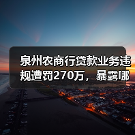 泉州农商行贷款业务违规遭罚270万,暴露哪些监管漏洞?(图3) 泉州农商行贷款业务违规遭罚270万,暴露哪些监管漏洞?(图3)