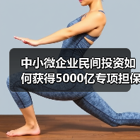 中小微企业民间投资如何获得5000亿专项担保支持?(图2) 中小微企业民间投资如何获得5000亿专项担保支持?(图2)