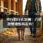 央行副行长邹澜:八项政策措施将发布!(图2) 央行副行长邹澜:八项政策措施将发布!(图2)