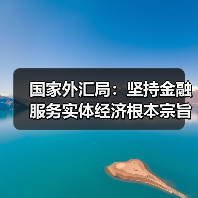 国家外汇局:坚持金融服务实体经济根本宗旨,深化外汇便利化改革(图2) 国家外汇局:坚持金融服务实体经济根本宗旨,深化外汇便利化改革(图2)