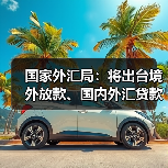 国家外汇局:将出台境外放款、国内外汇贷款资金管理等政策(图1) 国家外汇局:将出台境外放款、国内外汇贷款资金管理等政策(图1)