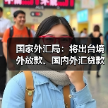 国家外汇局:将出台境外放款、国内外汇贷款资金管理等政策(图4) 国家外汇局:将出台境外放款、国内外汇贷款资金管理等政策(图4)