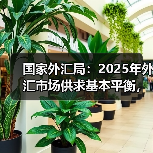 国家外汇局:2025年外汇市场供求基本平衡,预期总体平稳(图2) 国家外汇局:2025年外汇市场供求基本平衡,预期总体平稳(图2)